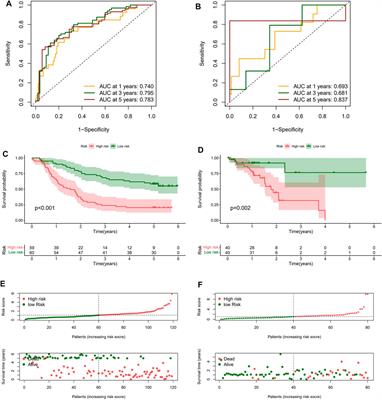 Identification of A Risk Signature Based on Lactic Acid Metabolism-Related LncRNAs in Patients With Esophageal Squamous Cell Carcinoma